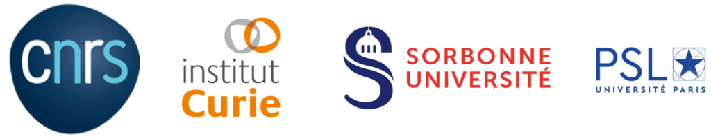 Affiliations: CNRS, Institut Curie, Sorbonne Université, PSL